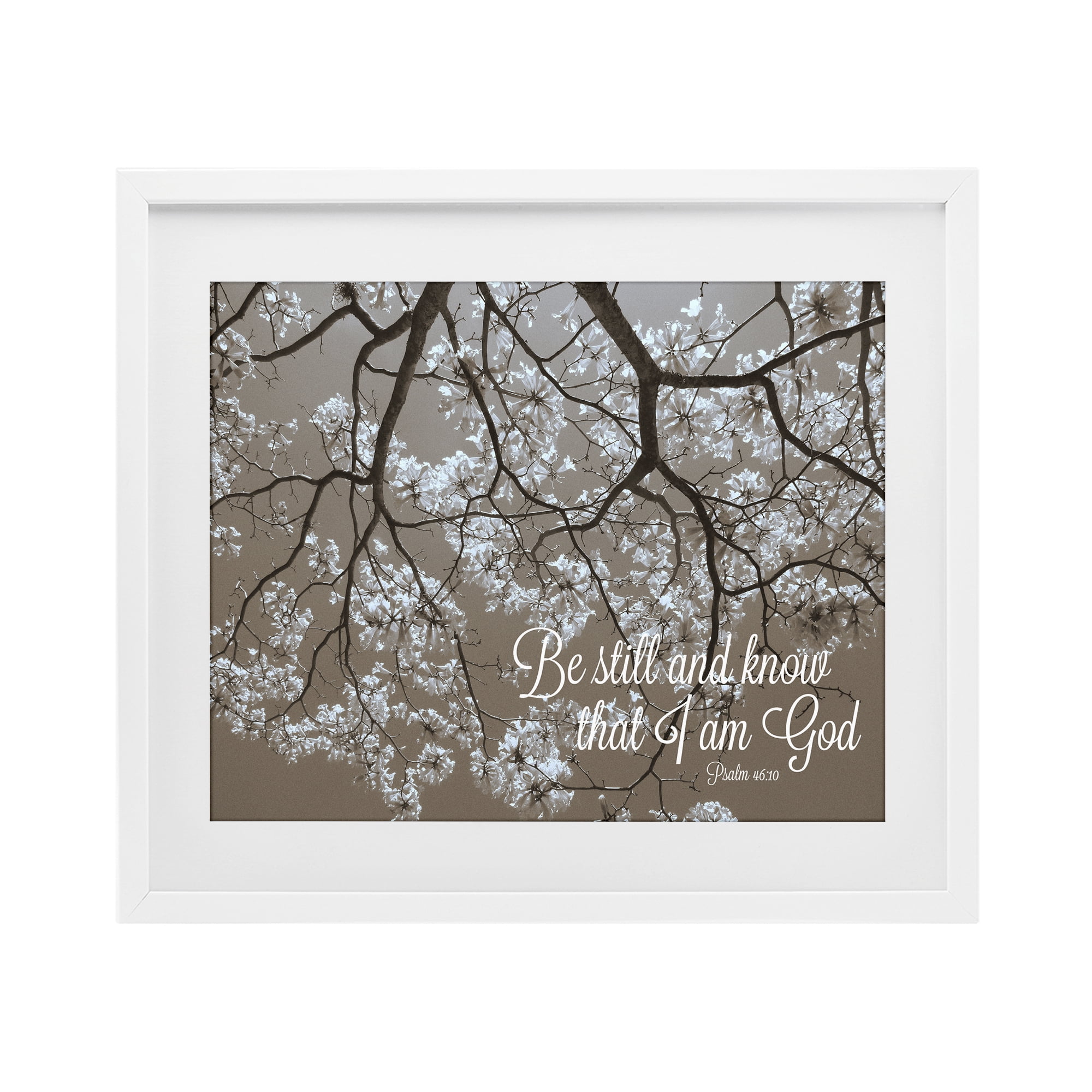 Stupell Industries Be Still Apple Blossoms White Framed Print Under Glass, design by Gail Peck