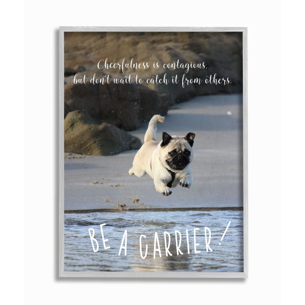 Stupell Industries Be a Cheerfulness Carrier Phrase Pet Dog at Beach Framed Wall Art Design by Ziwei Li, 16" x 20", Gray Framed