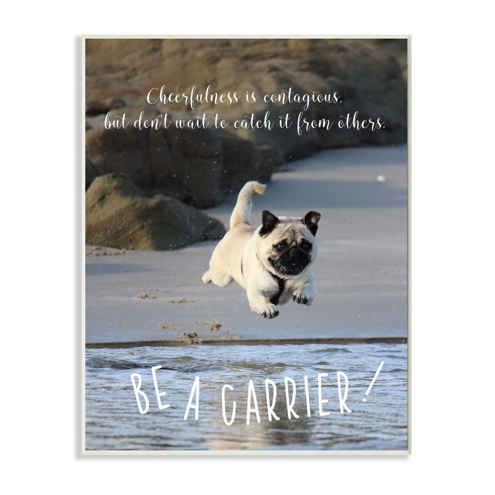Stupell Industries Be a Cheerfulness Carrier Phrase Pet Dog at Beach Graphic Art Unframed Art Print Wall Art, 10x15, by Ziwei Li