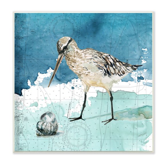 Stupell Industries Beach Bird Round Shell Blue Ocean Coastal Map, 12 x 12, Design by Carol Robinson