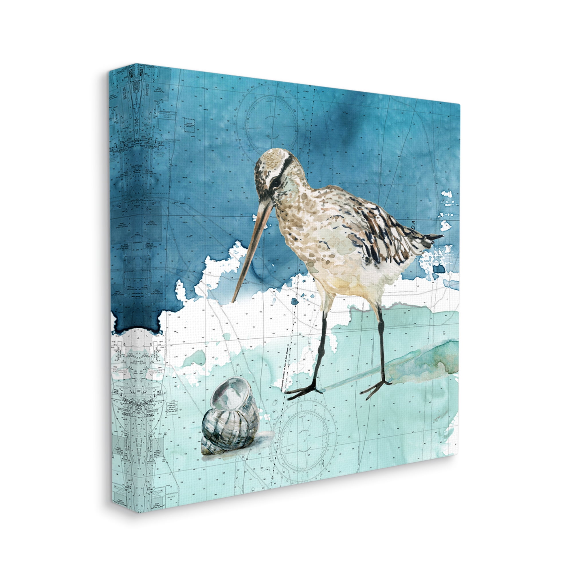 Stupell Industries Beach Bird Round Shell Blue Ocean Coastal Map Animals & Insects Painting Gallery Wrapped Canvas Print Wall Art, 24 x 24