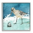 thumbnail image 1 of Stupell Industries Beach Bird Round Shell Blue Ocean Coastal Map Coastal Painting Gray Framed Art Print Wall Art, 12 x 12, Design by Carol Robinson, 1 of 7