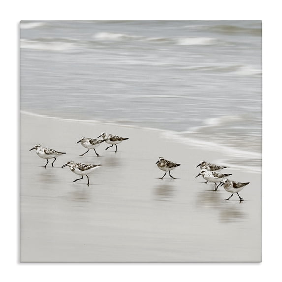 Stupell Industries Rustic Lodge Beach Birds Scurrying Canvas Art, 17 x 17, by Natalie Carpentieri