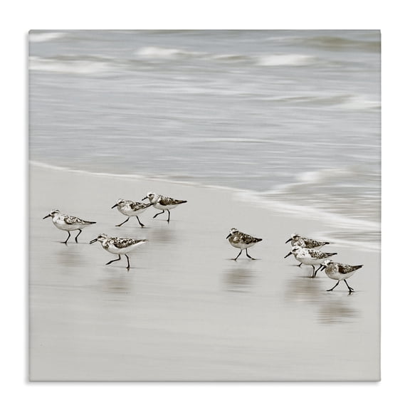 Stupell Industries Beach Birds Scurrying Canvas Wall Art design by Natalie Carpentieri, 24 x 24