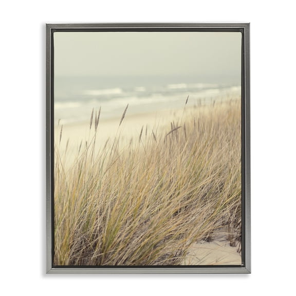 Stupell Industries Beach Dreams Sea Grass Gray Framed Floater Canvas Wall Art design by Marcus Prime, 21 x 17