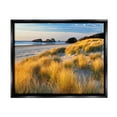 thumbnail image 1 of Stupell Industries Beach Grasses Summer Shoreline Coastal Photography Black Floater Framed Art Print Wall Art, 1 of 6