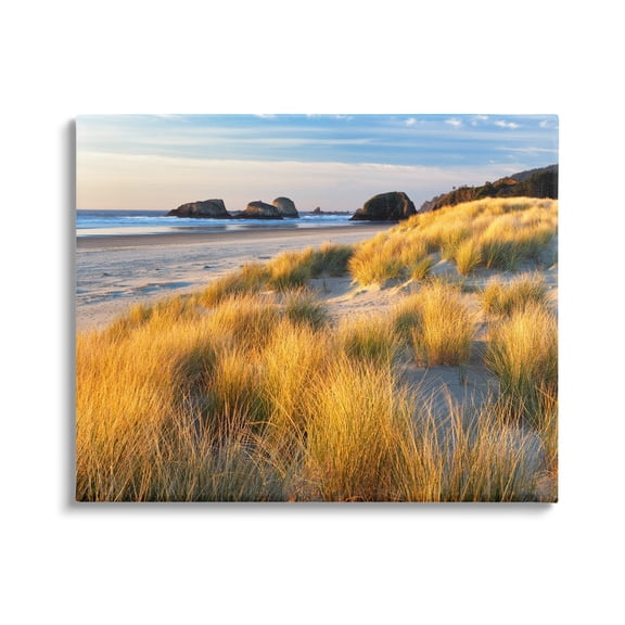 Stupell Industries Beach Grasses Summer Shoreline Coastal Photography Gallery Wrapped Canvas Print Wall Art