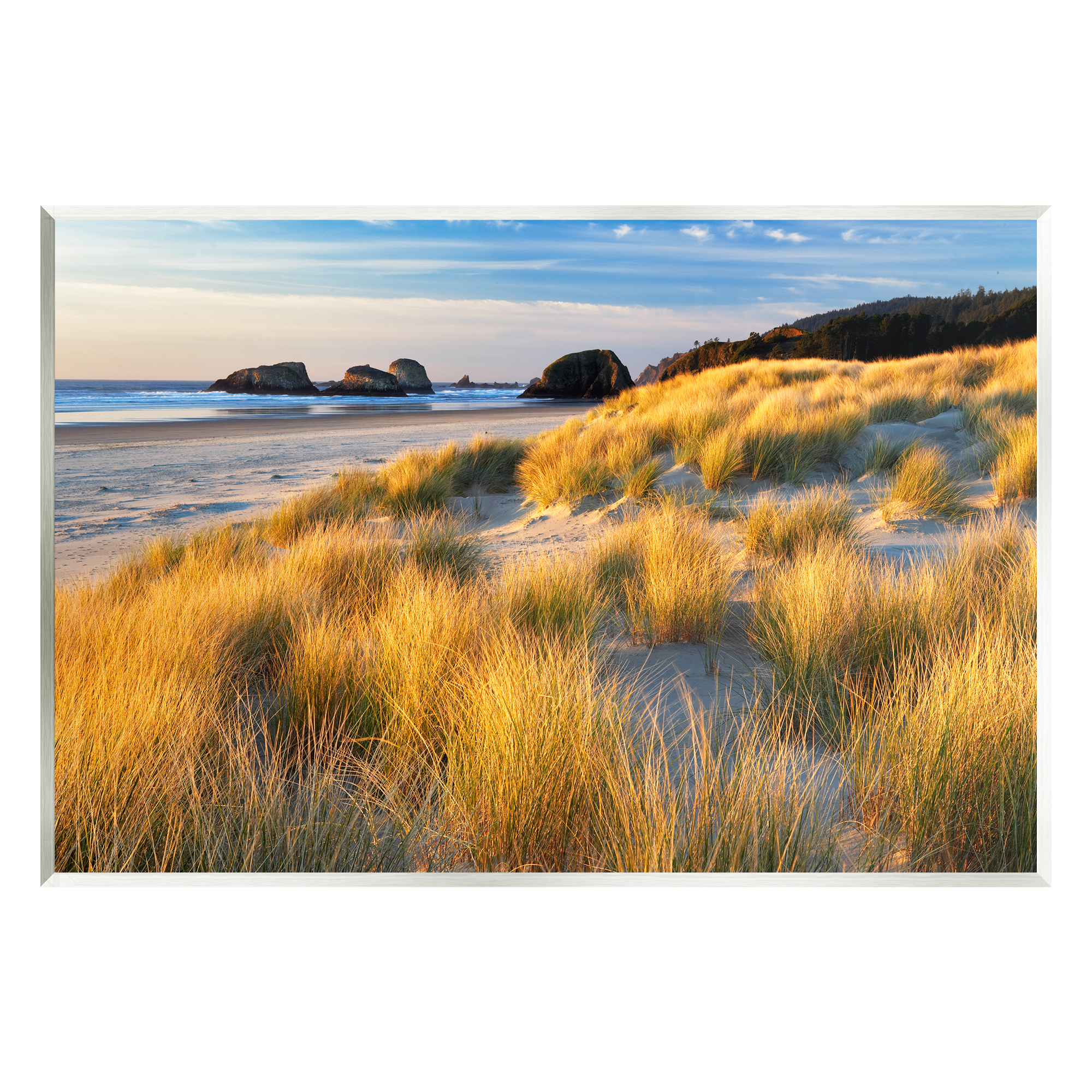 Stupell Industries Beach Grasses Summer Shoreline Coastal Photography Unframed Art Print Wall Art