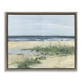 thumbnail image 1 of Stupell Industries Tropical Beach Marsh Sandpipers Brown Floating Frame Canvas Art, 21 x 17, by Sally Swatland, 1 of 8