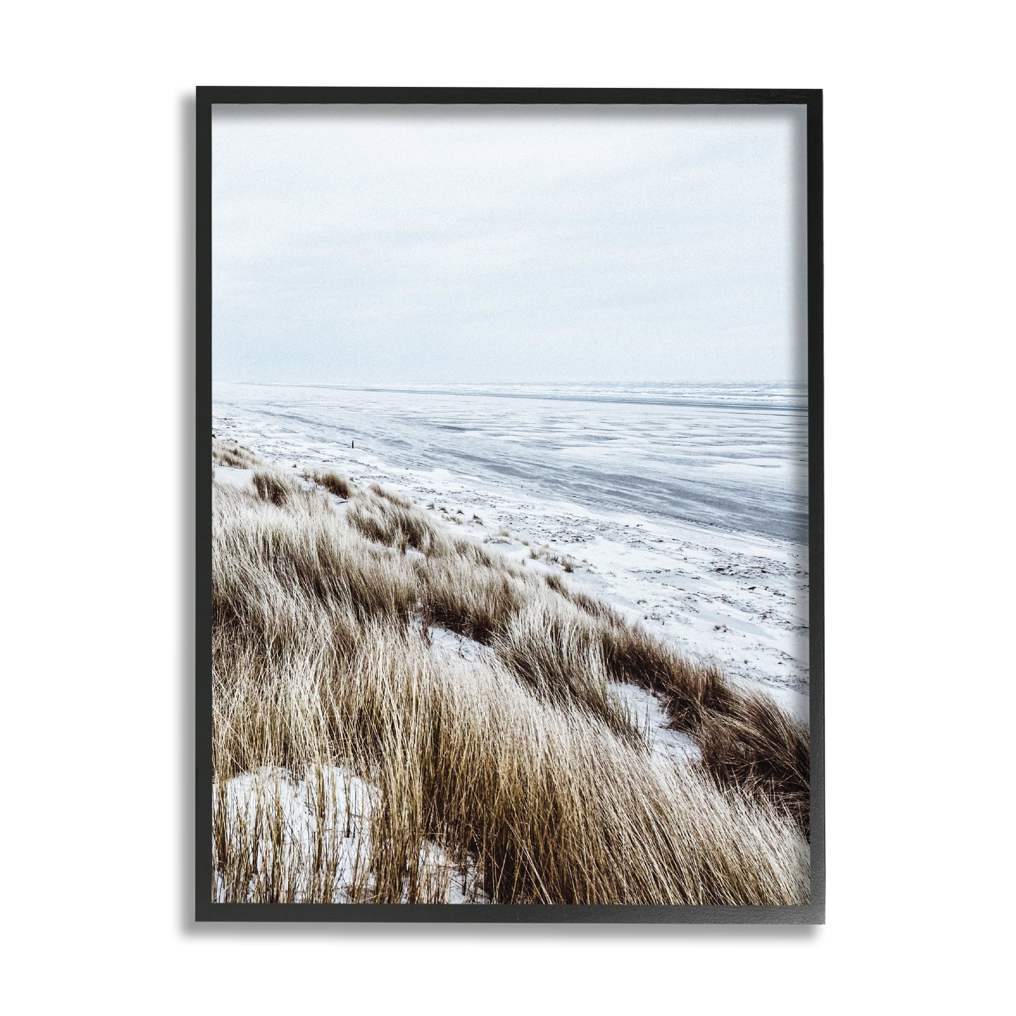 Stupell Industries Beach Reeds Landscape Nature Photography Black Framed Art Print Wall Art, 16 x 20