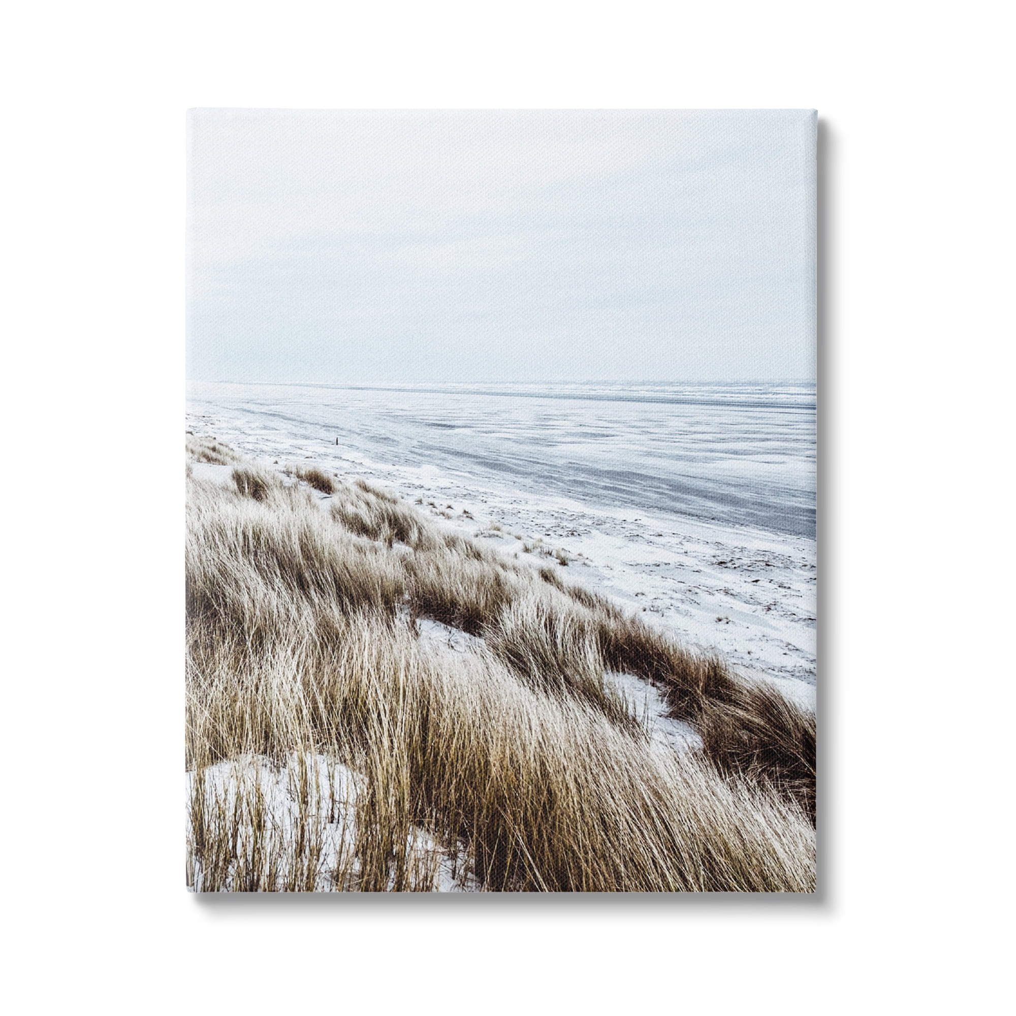 Stupell Industries Beach Reeds Landscape Nature Photography Gallery Wrapped Canvas Print Wall Art, 36 x 48