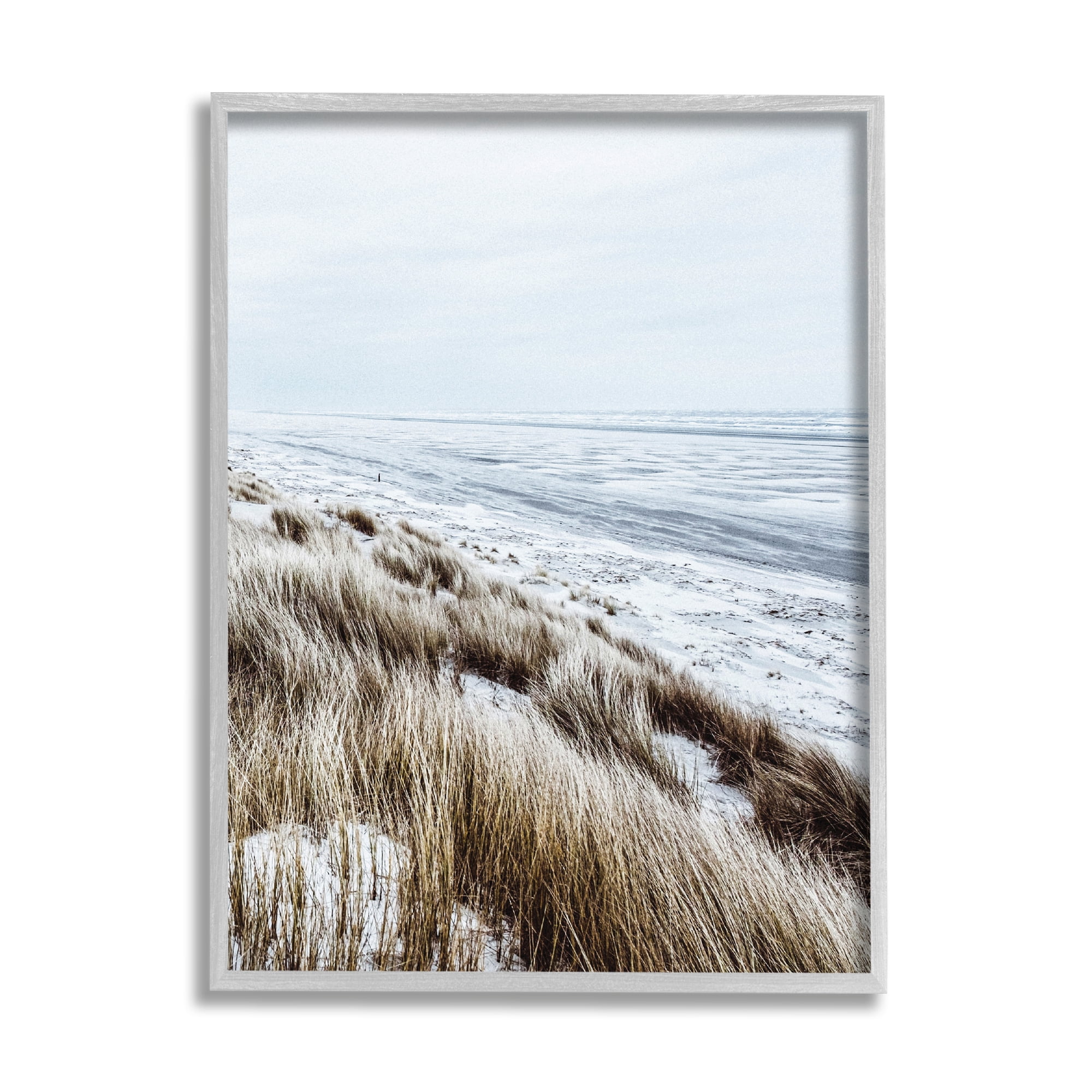 Stupell Industries Beach Reeds Landscape Nature Photography Gray Framed Art Print Wall Art, 11 x 14