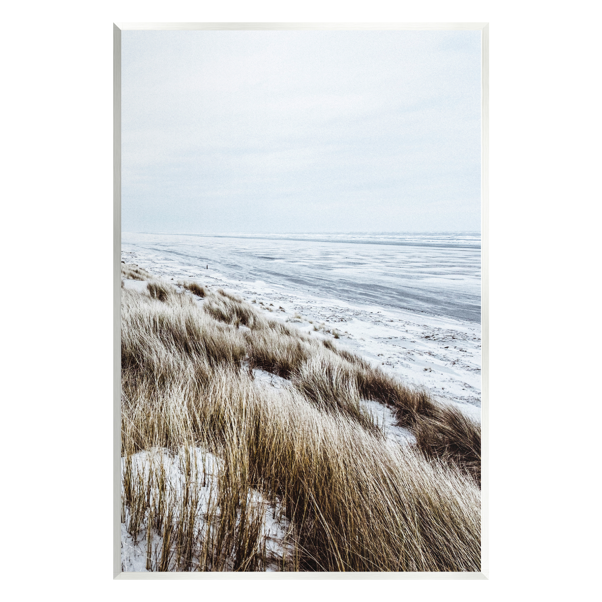 Stupell Industries Beach Reeds Landscape Nature Photography Unframed Art Print Wall Art, 13 x 19