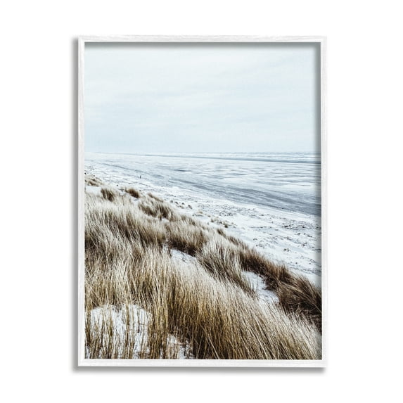 Stupell Industries Beach Reeds Landscape Nature Photography White Framed Art Print Wall Art, 16 x 20