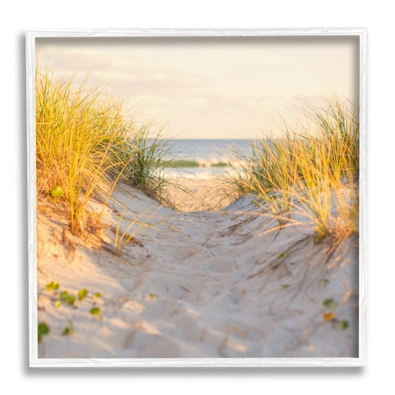 Stupell Industries Beach Sand Dunes Path Nature Photography White Framed Art Print Wall Art, 12 x 12