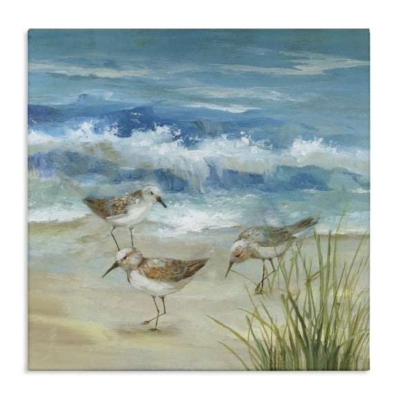 Stupell Industries Beach Sandpiper Gathering Canvas Wall Art design by Nan, 17 x 17