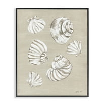 Stupell Industries Beach Shell Treasures Coastal Painting Black Framed Art Print Wall Art, 11 x 14