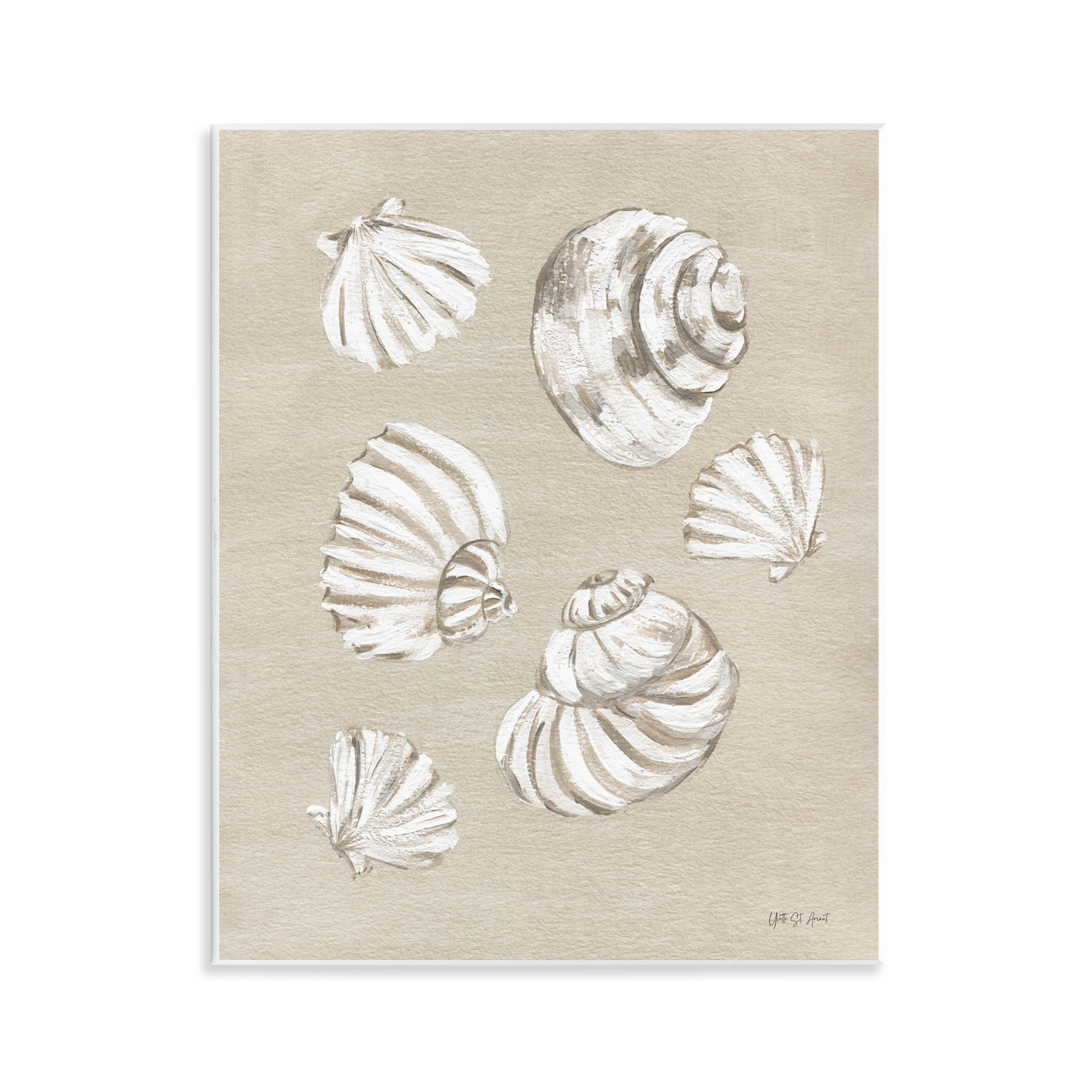 Stupell Industries Beach Shell Treasures Coastal Painting Unframed Art Print Wall Art, 11 x 14
