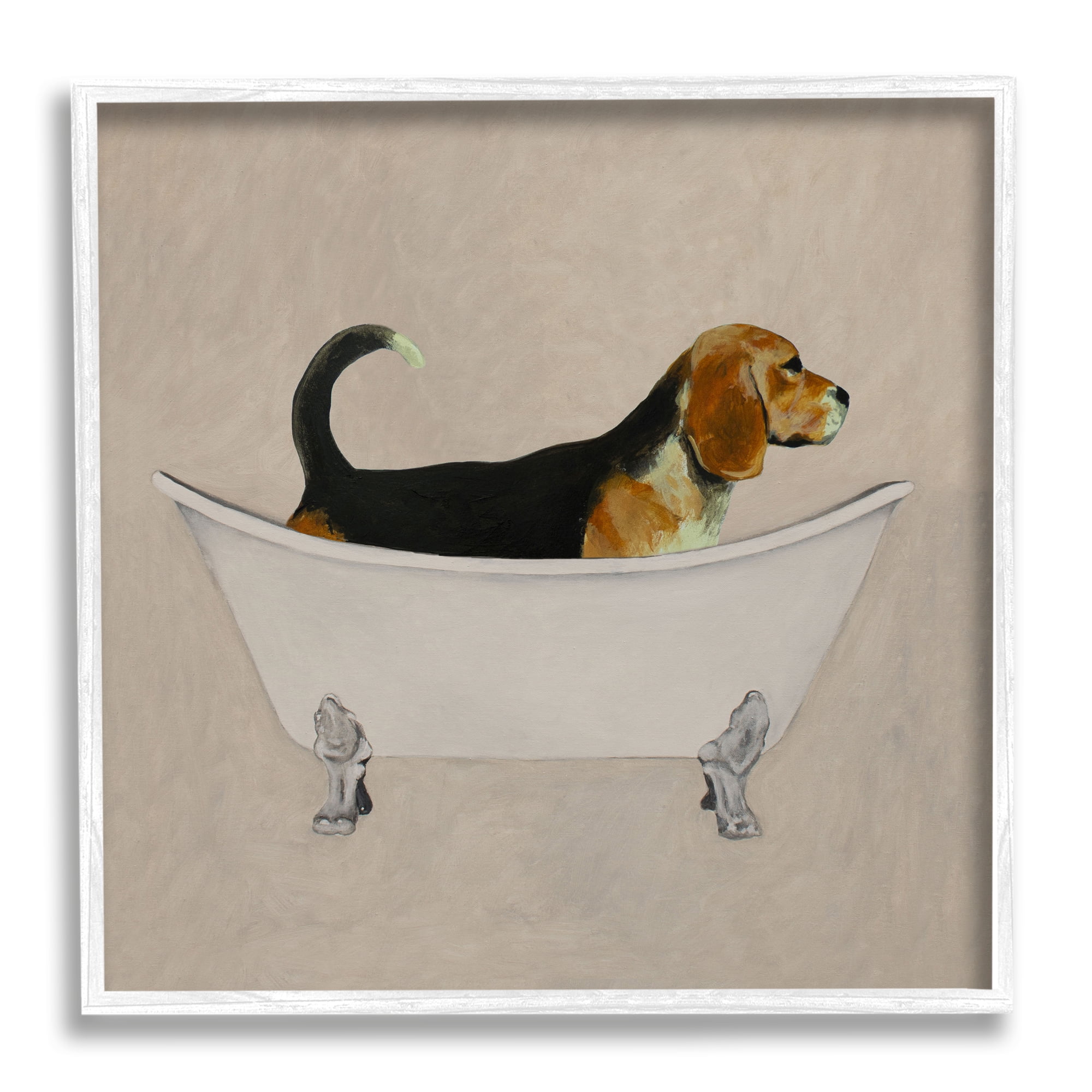 Beagle in Bathtub White Framed Canvas Print 12x12