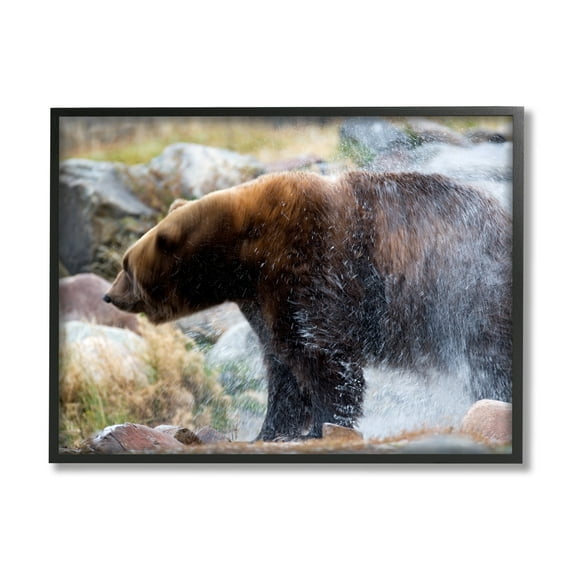 Stupell Industries Bear Bathing In Stream Photography Animals & Insects Photography Black Framed Art Print Wall Art
