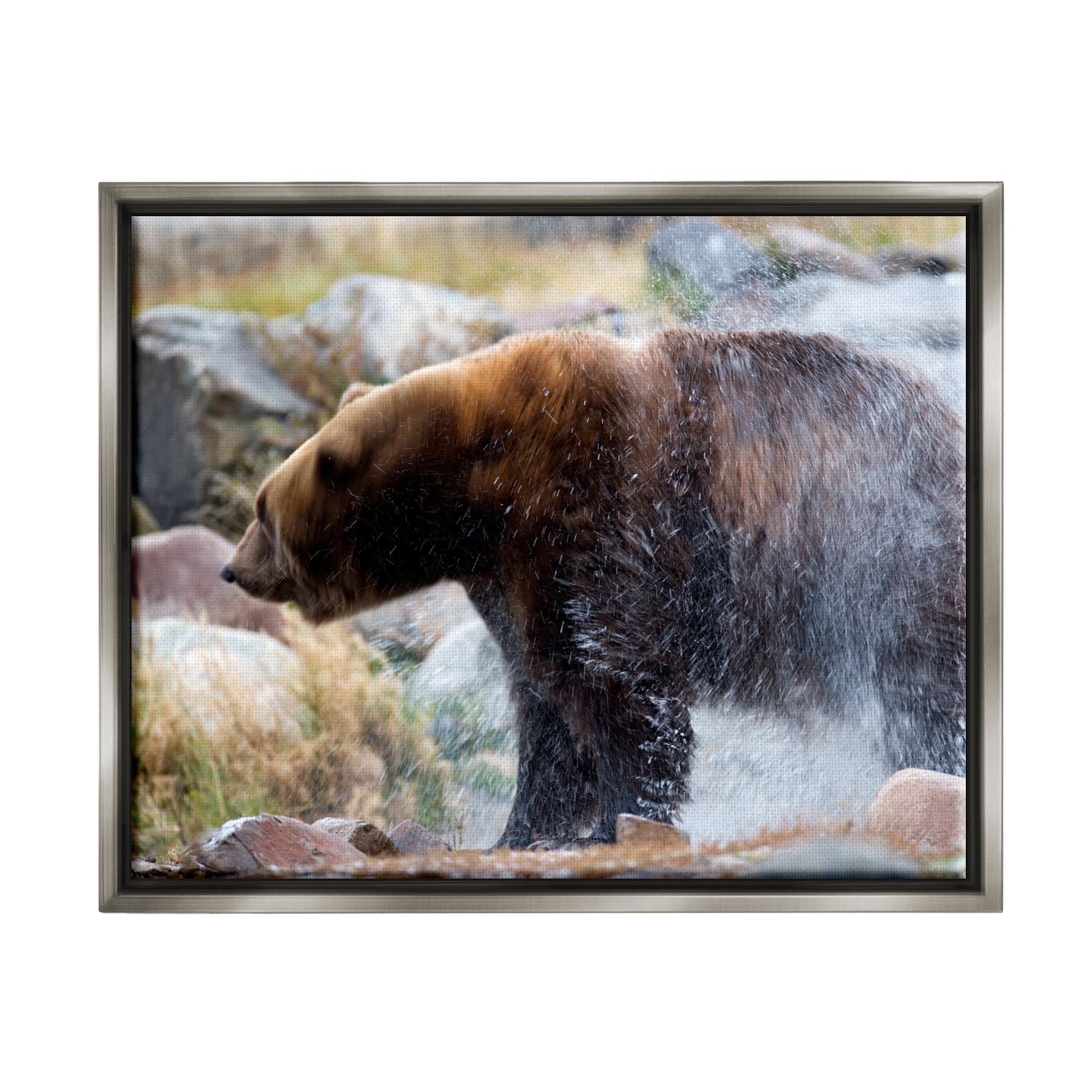 Stupell Industries Bear Bathing In Stream Photography Animals & Insects Photography Gray Floater Framed Art Print Wall Art