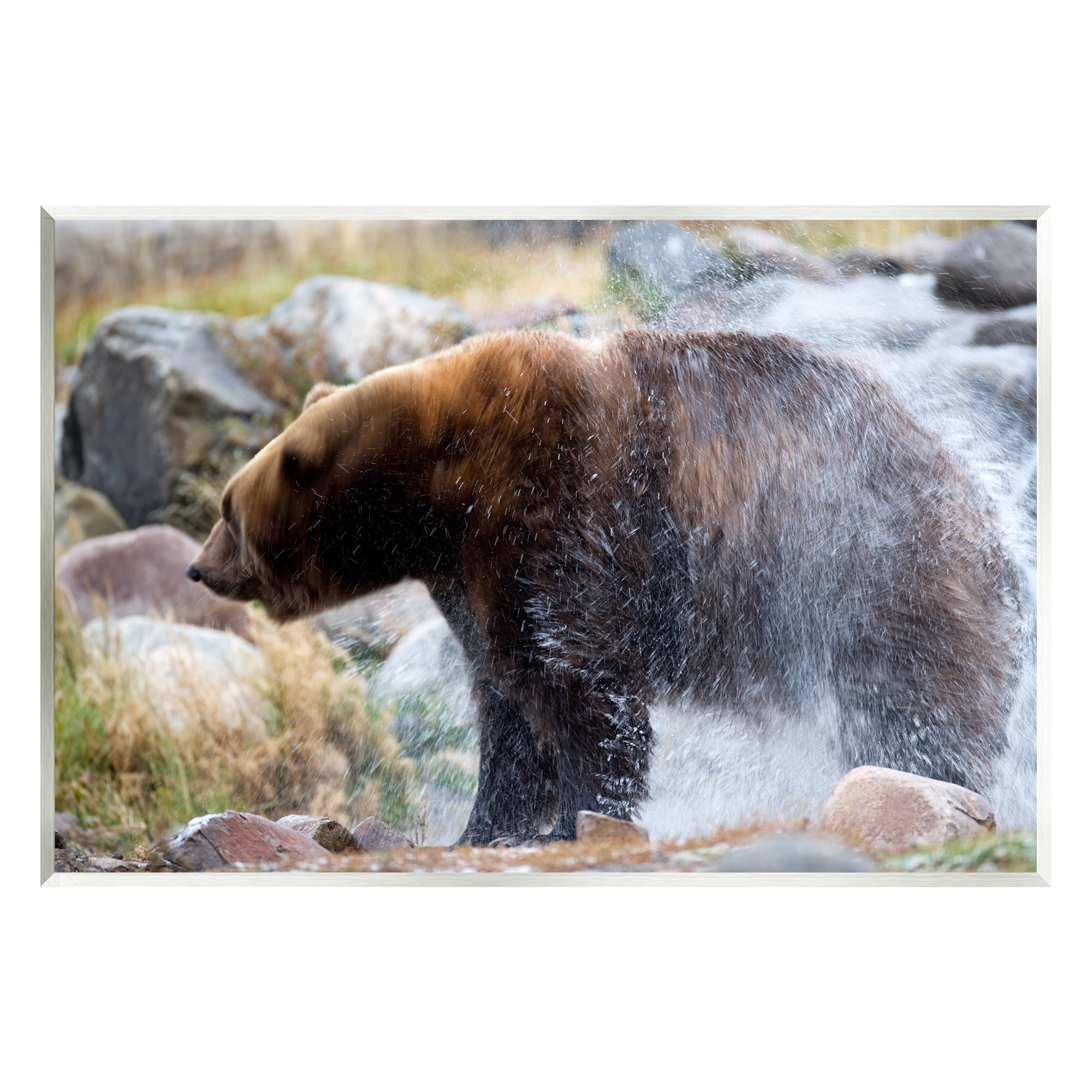 Stupell Industries Bear Bathing In Stream Photography Animals & Insects Photography Unframed Art Print Wall Art