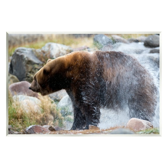 Stupell Industries Bear Bathing In Stream Photography Animals & Insects Photography Unframed Art Print Wall Art