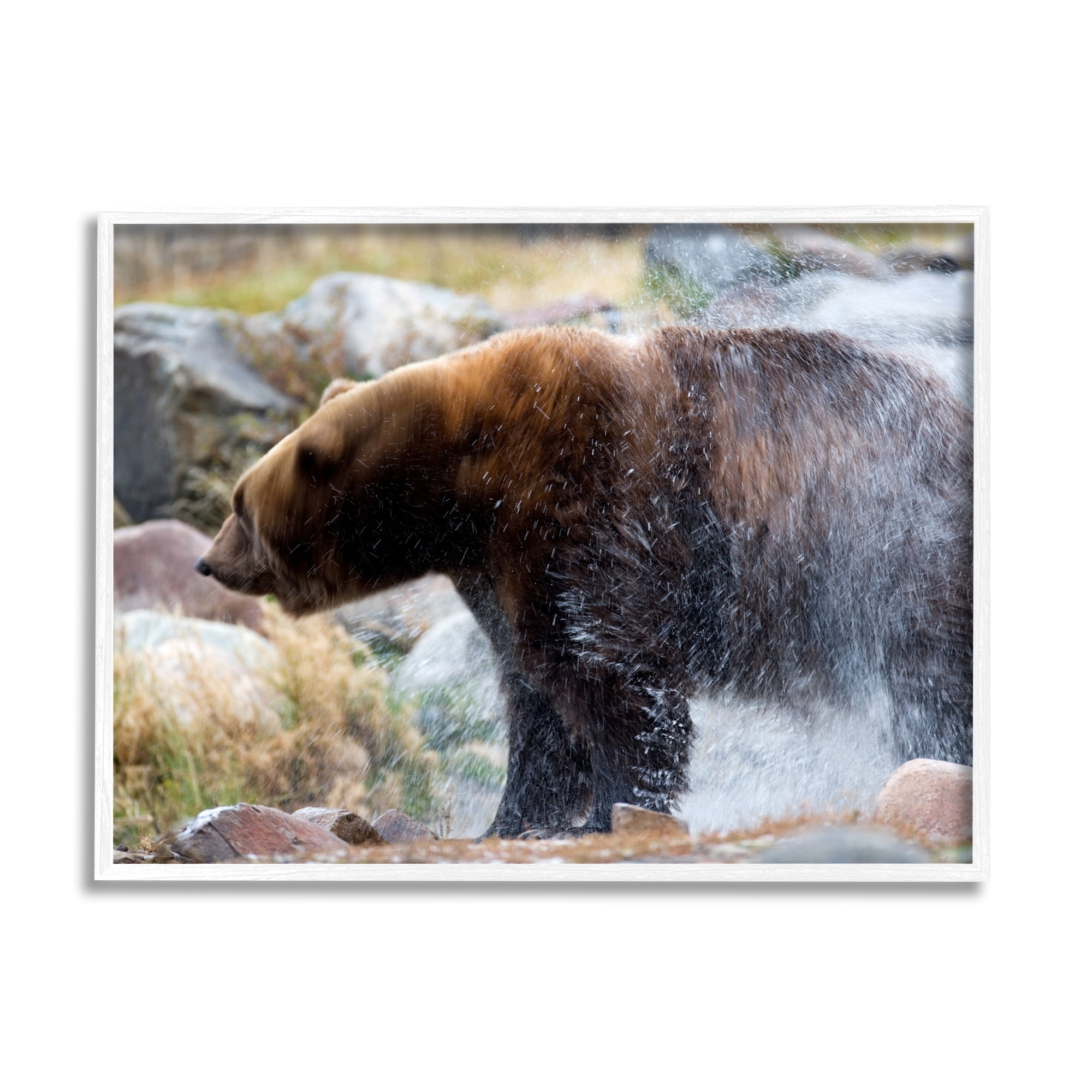 Stupell Industries Bear Bathing In Stream Photography Animals & Insects Photography White Framed Art Print Wall Art