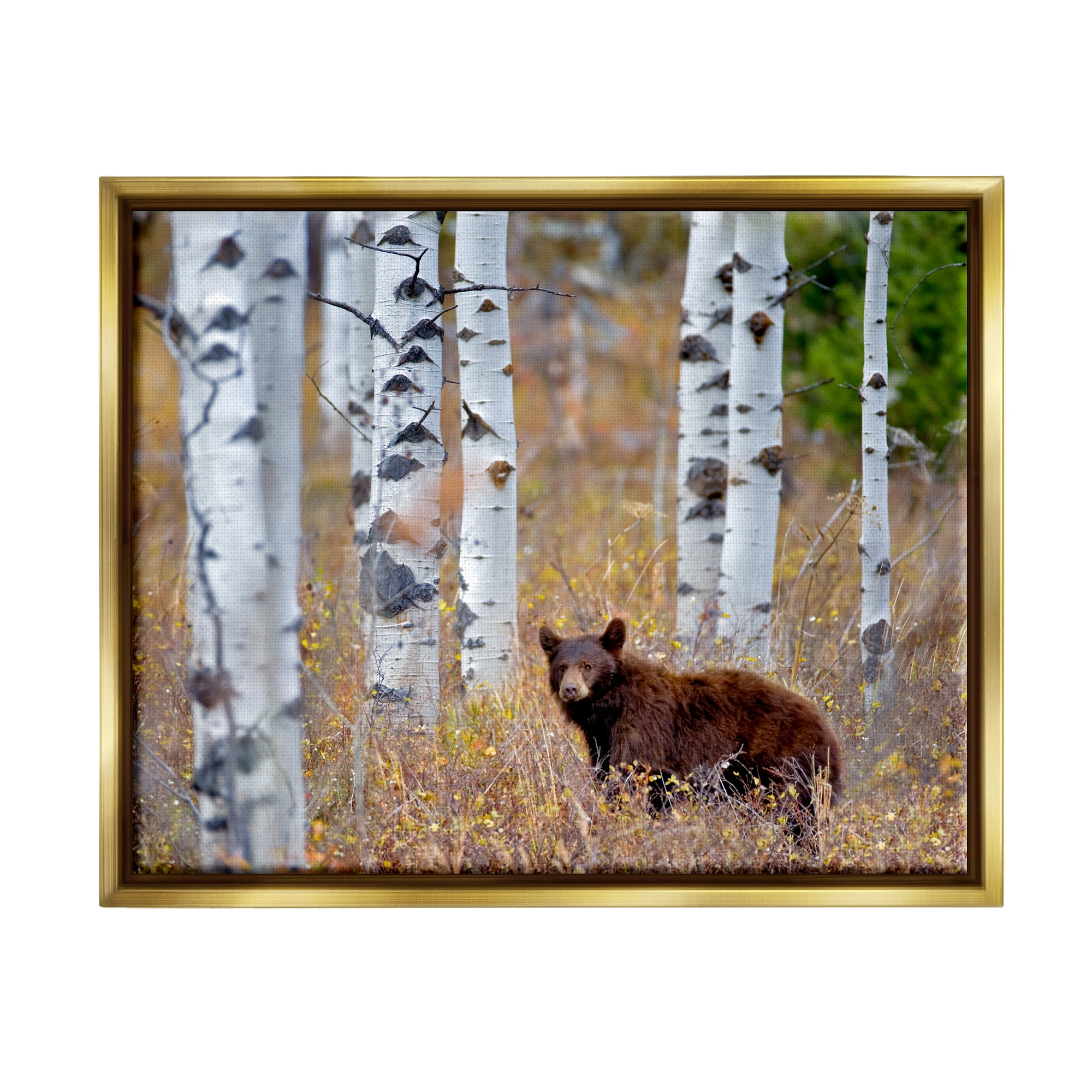 Stupell Industries Bear Cub Birch Tree Thicket Animals & Insects Photography Gold Floater Framed Art Print Wall Art