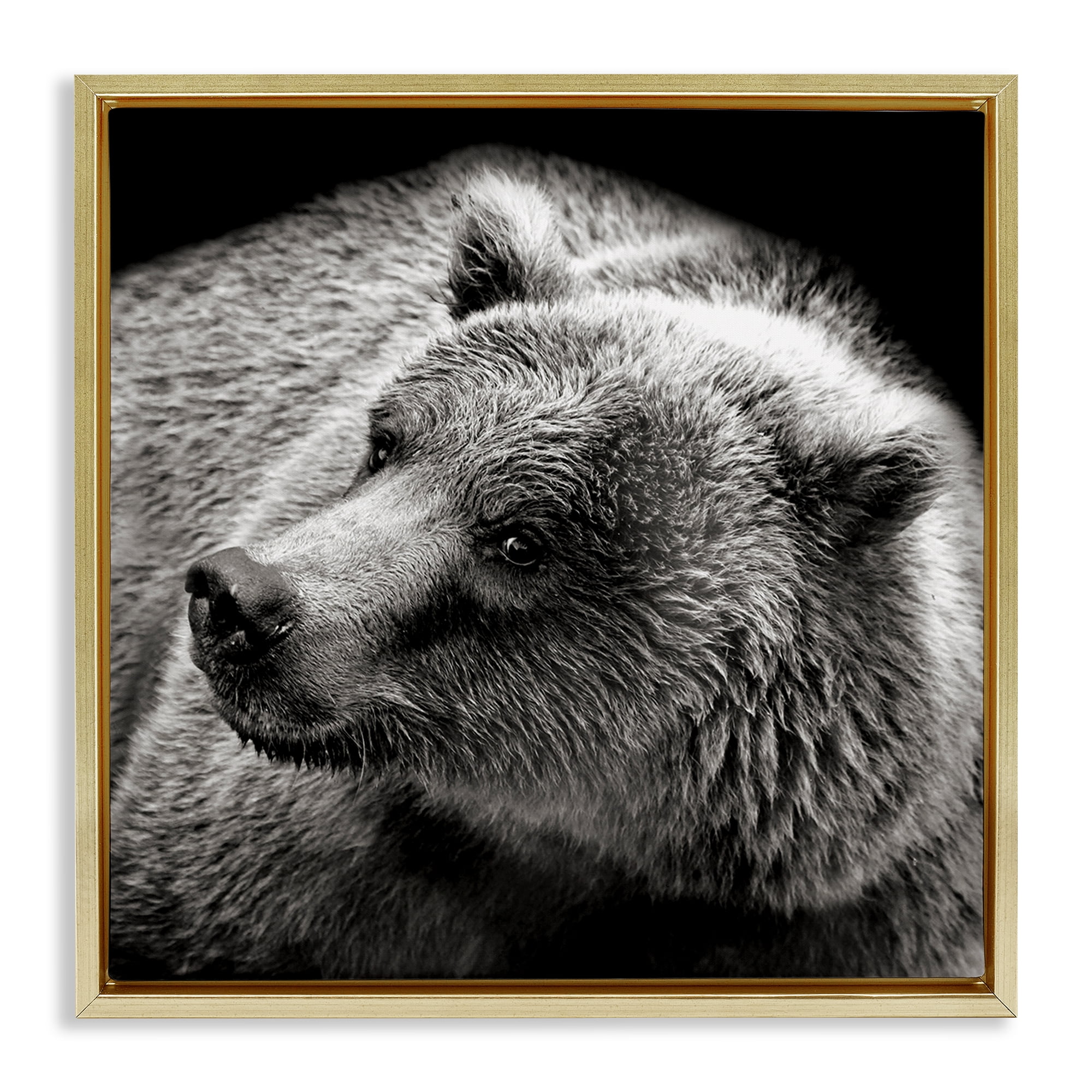 Stupell Industries Bear Looking Left Animals & Insects Photography Gold Floater Framed Canvas Art Print Wall Art, 18 x 18