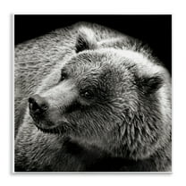 Stupell Industries Bear Looking Left Animals & Insects Photography Unframed Art Print Wall Art, 12 x 12