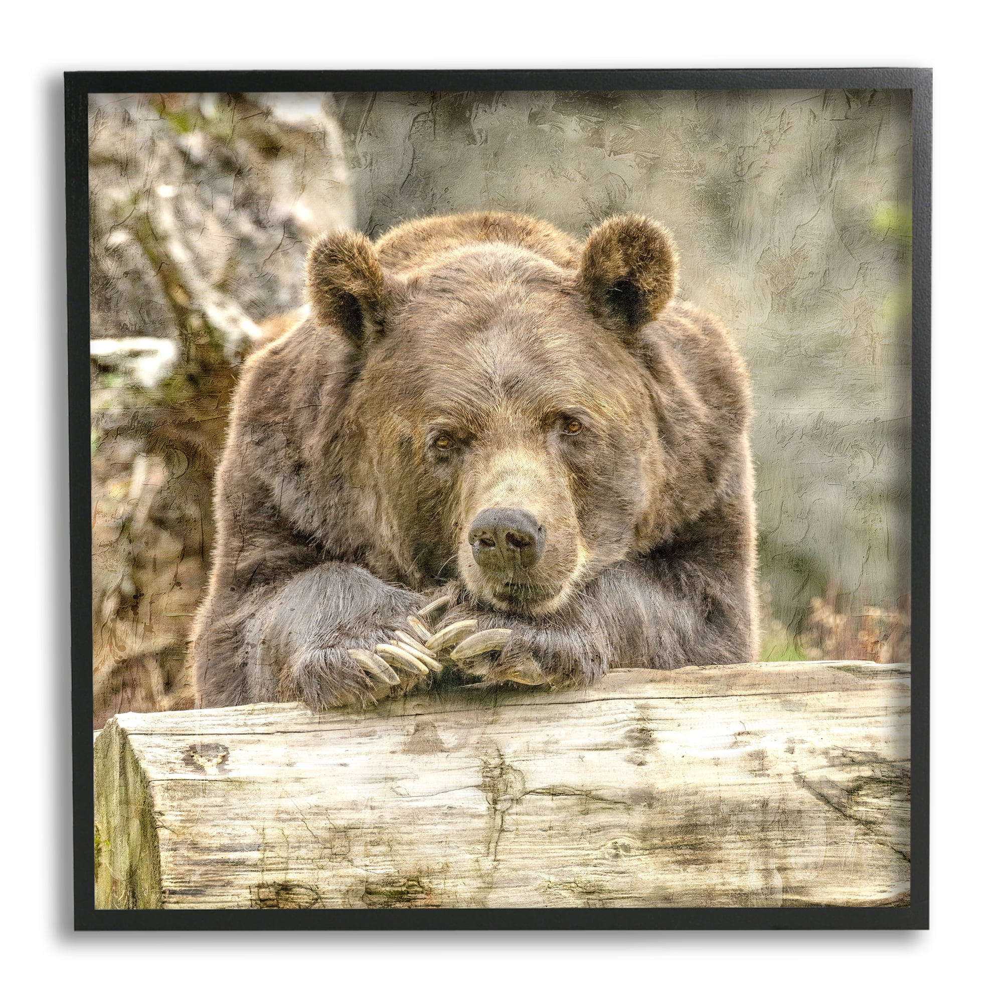 Stupell Industries Bear Resting on Log Animals & Insects Painting Black Framed Art Print Wall Art, 24 x 24