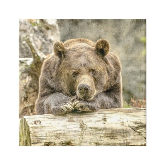 Stupell Industries Bear Resting on Log Animals & Insects Painting Gallery Wrapped Canvas Art Print Wall Art, 17 x 17