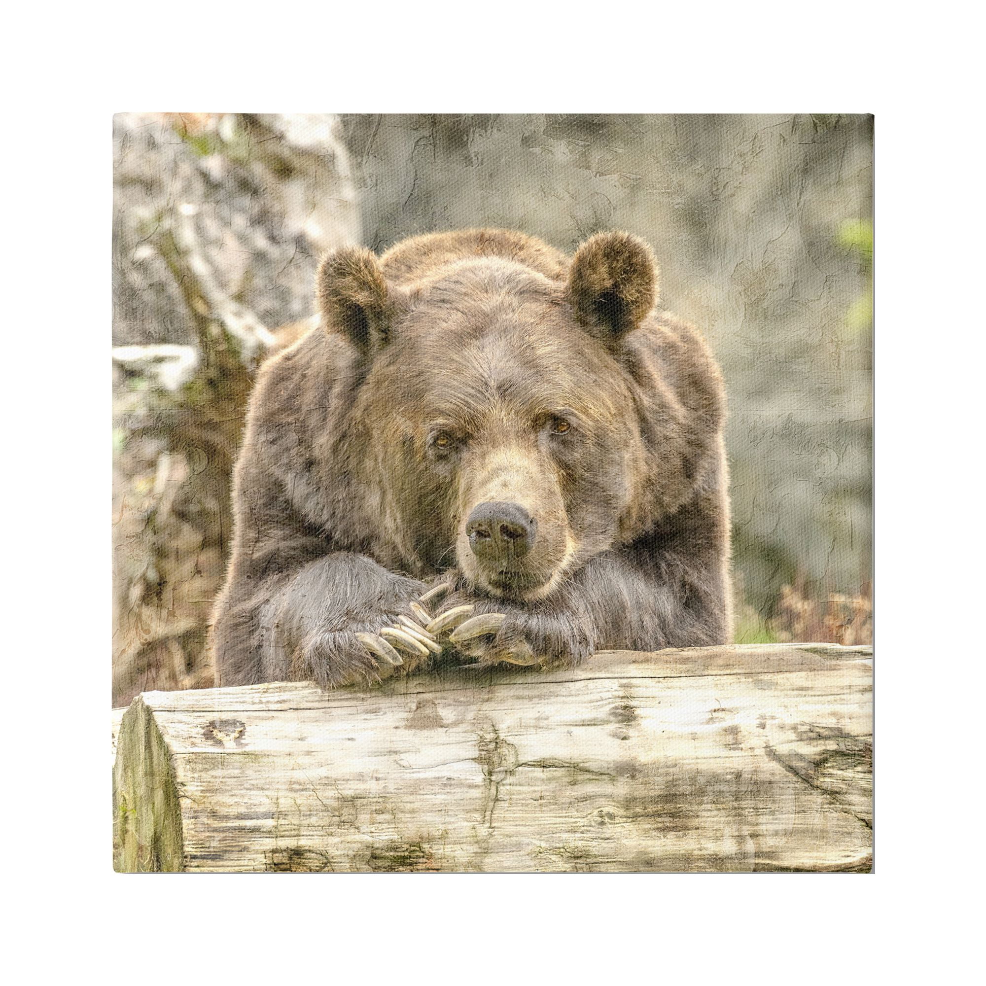 Stupell Industries Bear Resting on Log Animals & Insects Painting Gallery Wrapped Canvas Art Print Wall Art, 24 x 24