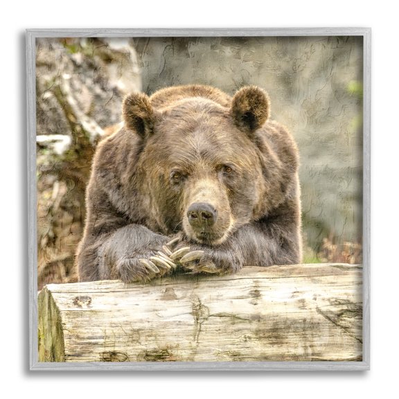 Stupell Industries Bear Resting on Log Animals & Insects Painting Gray Framed Art Print Wall Art, 24 x 24