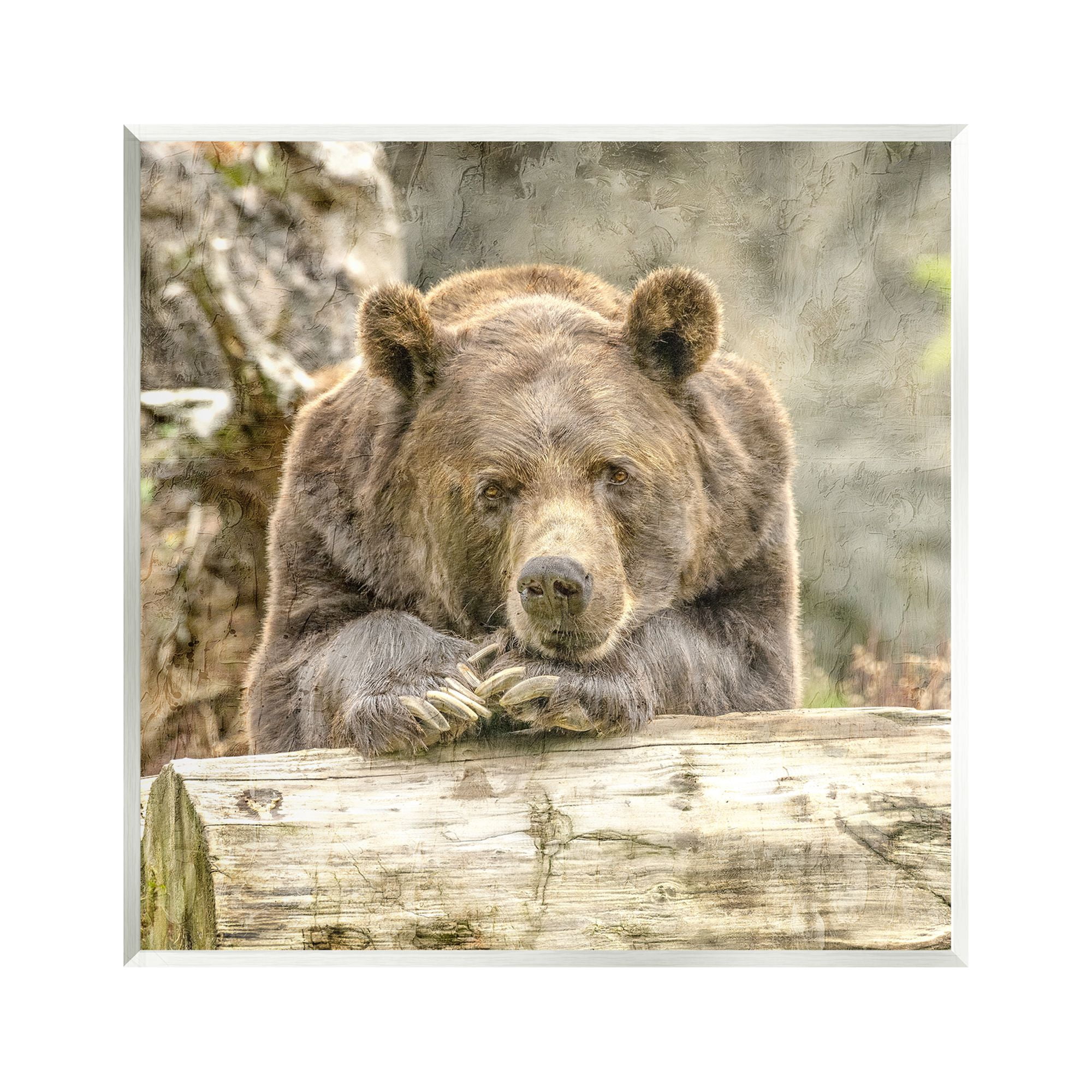 Stupell Industries Bear Resting on Log Animals & Insects Painting Unframed Art Print Wall Art, 12 x 12