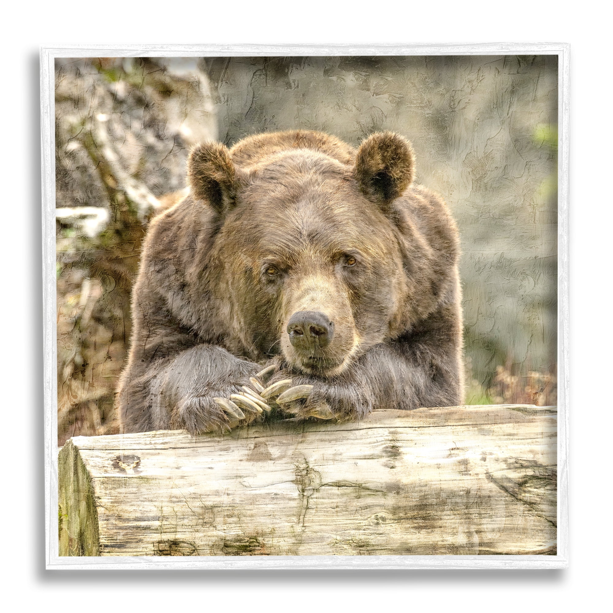 Stupell Industries Bear Resting on Log Animals & Insects Painting White Framed Art Print Wall Art, 12 x 12