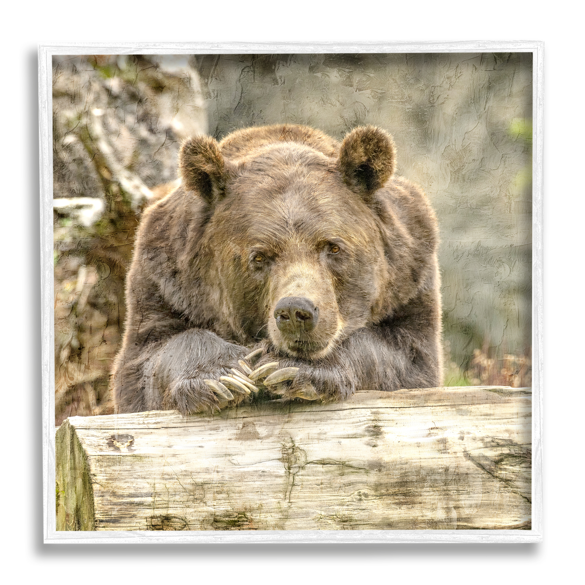 Stupell Industries Bear Resting on Log Animals & Insects Painting White Framed Art Print Wall Art, 24 x 24