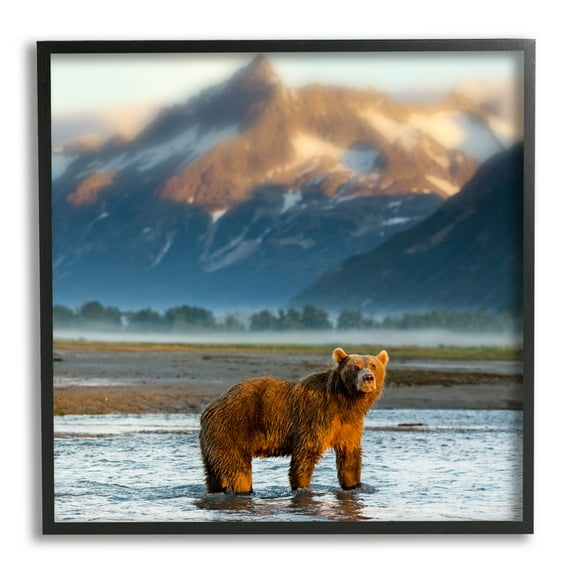 Stupell Industries Bear in Mountain Lake Animals & Insects Photography Black Framed Art Print Wall Art, 12 x 12
