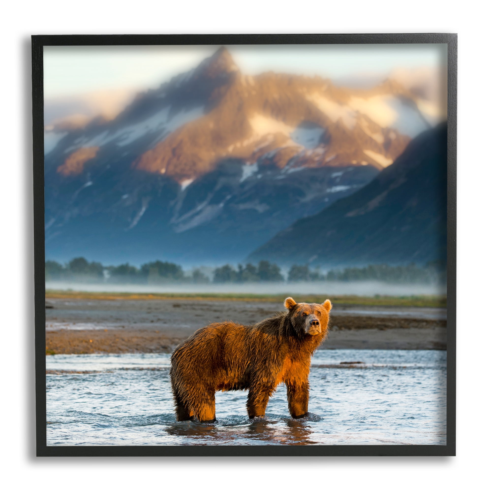 Stupell Industries Bear in Mountain Lake Animals & Insects Photography Black Framed Art Print Wall Art, 17 x 17