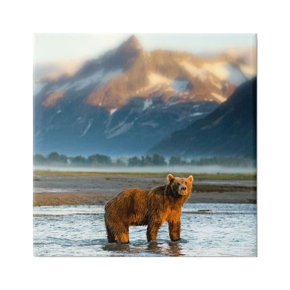 Stupell Industries Bear in Mountain Lake Animals & Insects Photography Gallery Wrapped Canvas Art Print Wall Art, 24 x 24