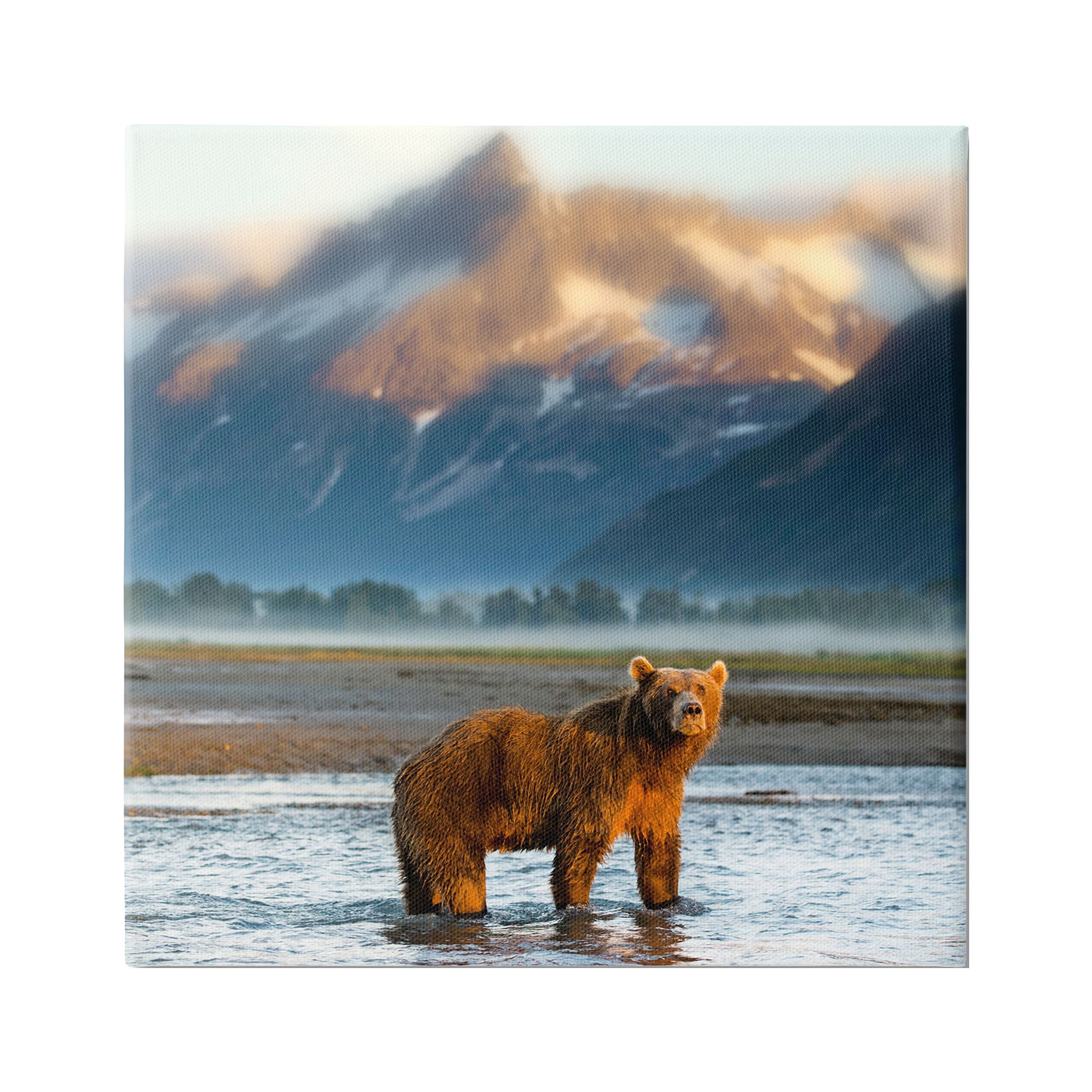 Stupell Industries Bear in Mountain Lake Animals & Insects Photography Gallery Wrapped Canvas Art Print Wall Art, 36 x 36