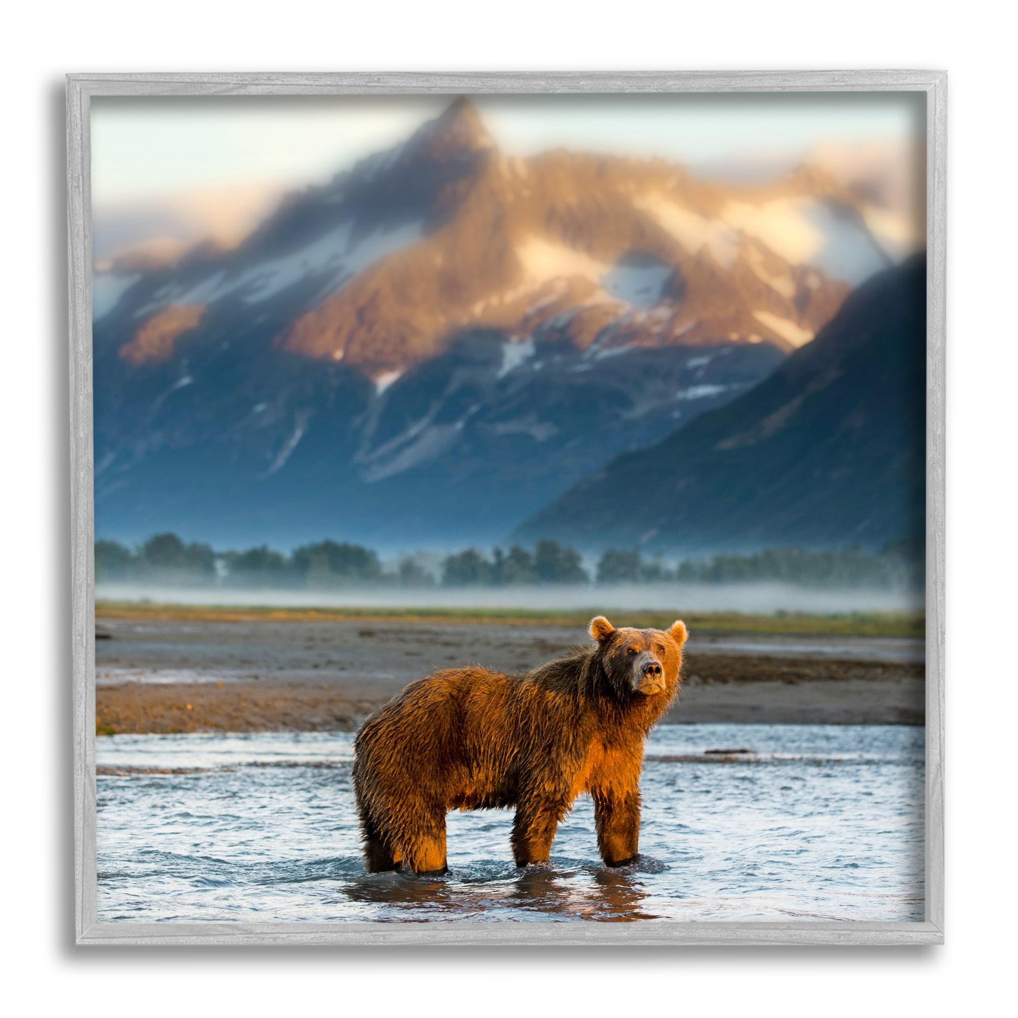 Stupell Industries Bear in Mountain Lake Animals & Insects Photography Gray Framed Art Print Wall Art, 17 x 17