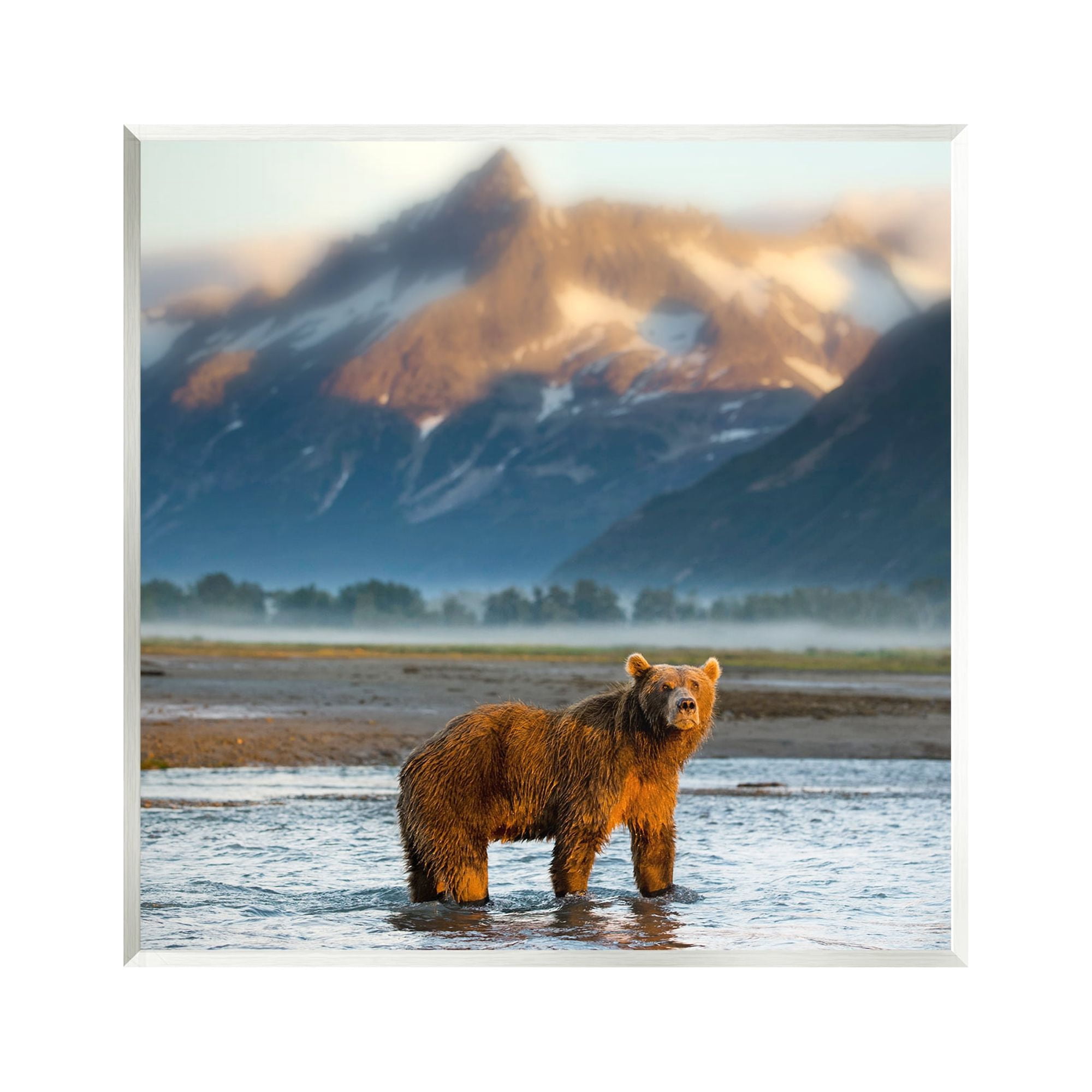 Stupell Industries Bear in Mountain Lake Animals & Insects Photography Unframed Art Print Wall Art, 12 x 12