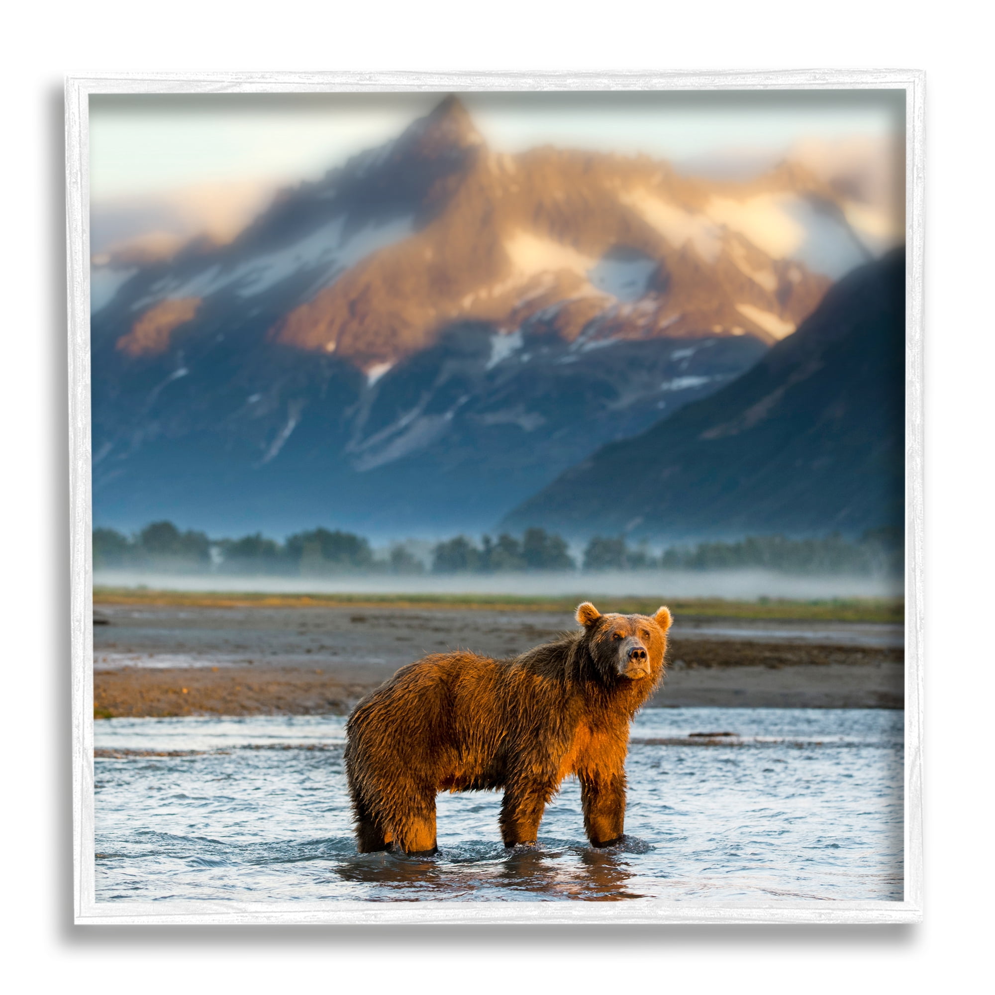 Stupell Industries Bear in Mountain Lake Animals & Insects Photography White Framed Art Print Wall Art, 12 x 12