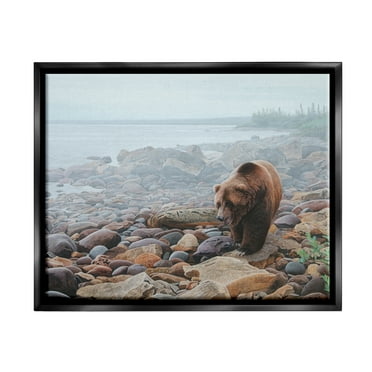 Stupell Industries Bear on Rocky Shore Nature Photography Black Floater Framed Art Print Wall Art, 21 x 17