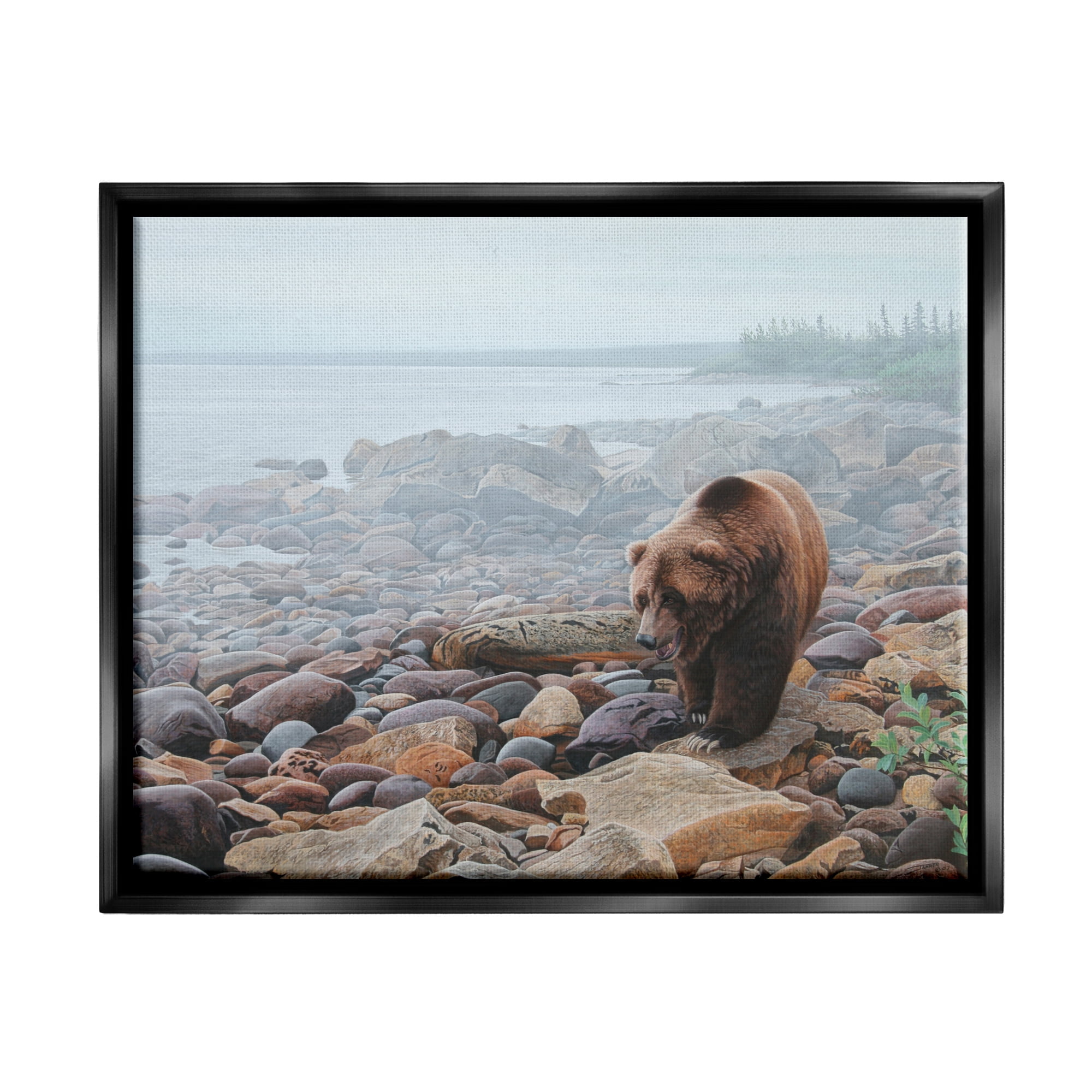 Stupell Industries Bear on Rocky Shore Nature Photography Black Floater Framed Art Print Wall Art, 31 x 25