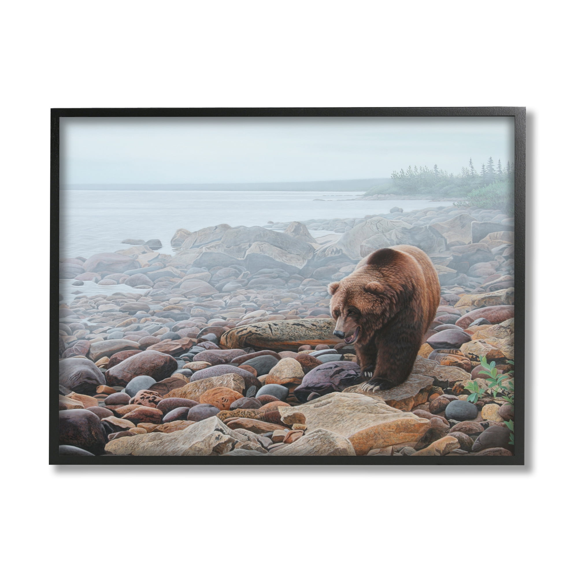 Stupell Industries Bear on Rocky Shore Nature Photography Black Framed Art Print Wall Art, 14 x 11