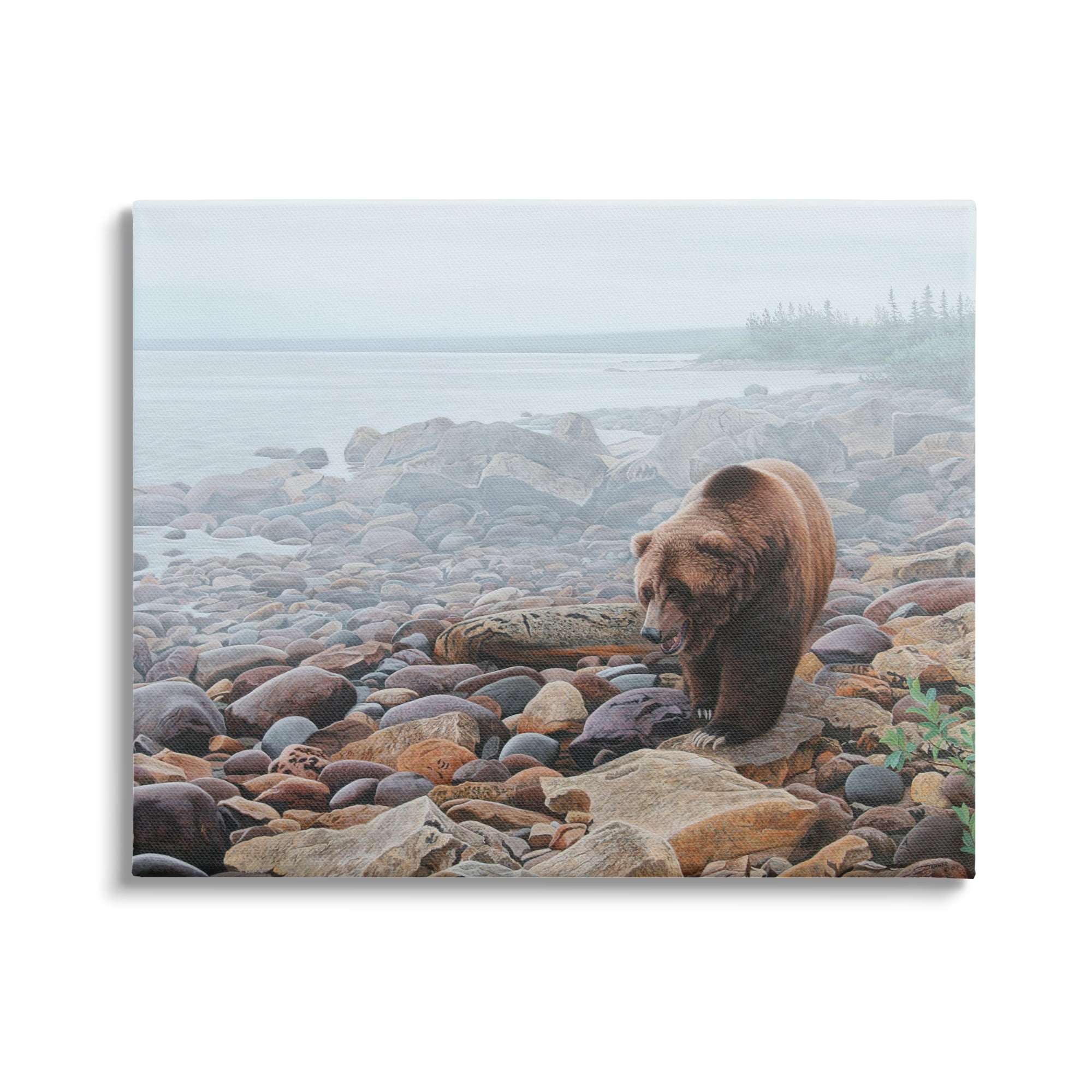 Stupell Industries Bear on Rocky Shore Nature Photography Gallery Wrapped Canvas Print Wall Art, 20 x 16
