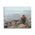 thumbnail image 1 of Stupell Industries Bear on Rocky Shore Nature Photography Gallery Wrapped Canvas Print Wall Art, 48 x 36, 1 of 7